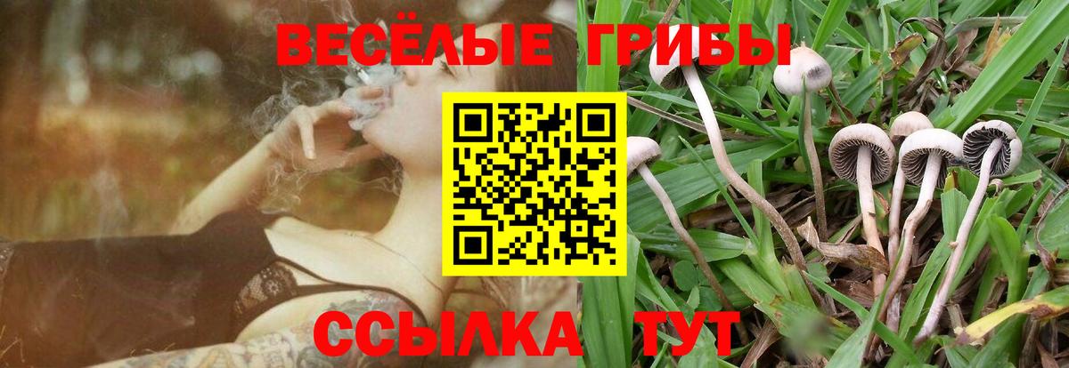 Псилоцибиновые грибы прущие грибы Куйбышев