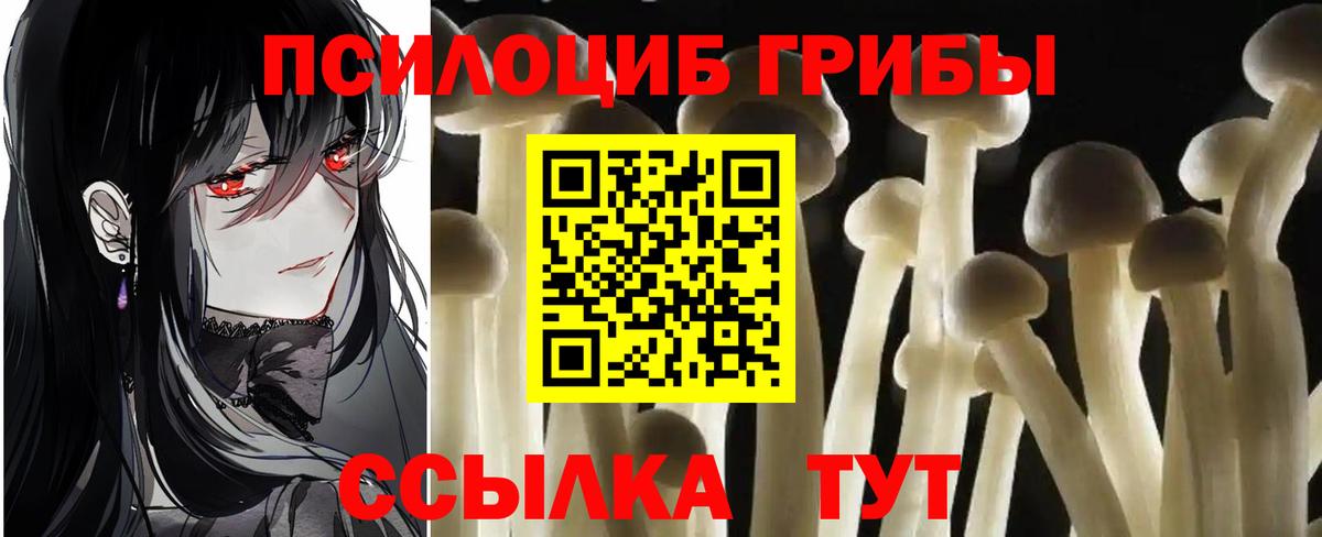 Галлюциногенные грибы Cubensis  Вход с VPN  Куйбышев 